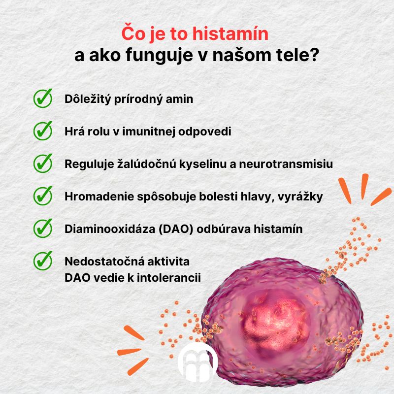 (Slovenčina) Co je to histamin  a jak funguje v našem těle